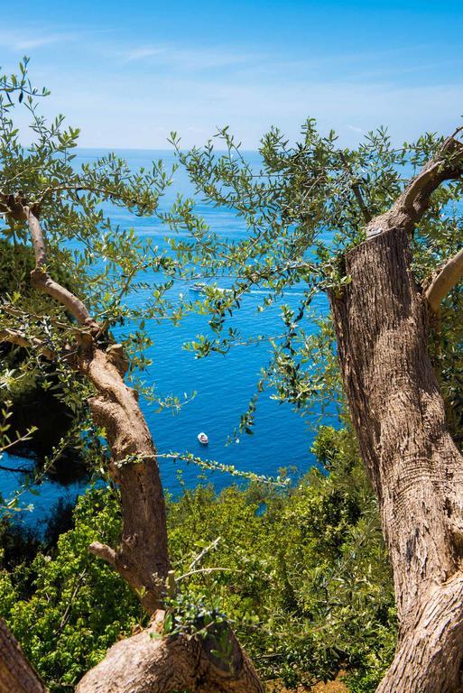 Villa De Rosa Positano Ngoại thất bức ảnh